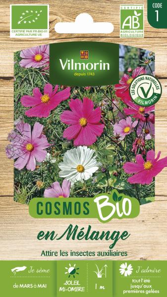 Fleurs - Cosmos Varié - BIO - face recto